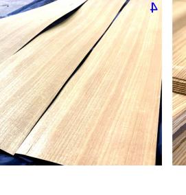 шпон - вариант 2