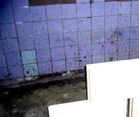 силикатная пазогребневая перегородочная плита 498х70х250 - тип 1