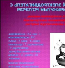 синхронный электродвигатель с короткозамкнутым ротором - вариант 1