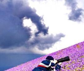 сиреневый ковролин - модель 4