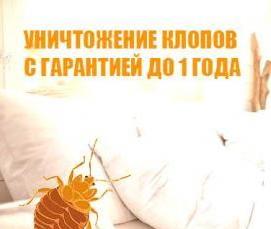 служба дезинфекции - вариант 1