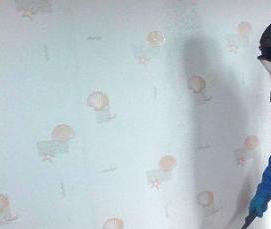 служба дезинфекции от клопов - вариант 3