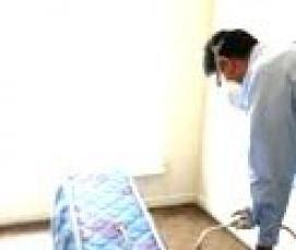 служба дезинфекции от клопов - вариант 2