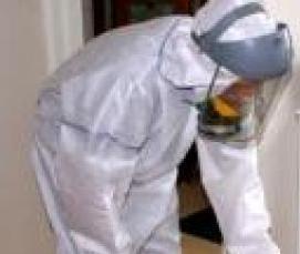 служба дезинфекции от тараканов - вариант 1