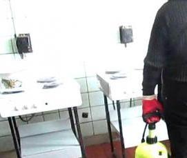 служба дезинфекции от тараканов - вариант 4