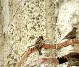 смешанный бетон - тип 4