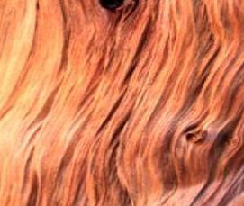 сосновый шпон - модель 1