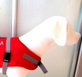 спасательный жилет для собаки - тип 3