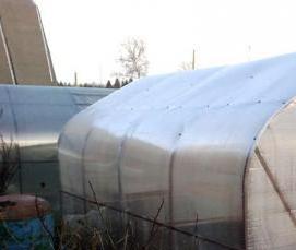 специальные теплицы - тип 1