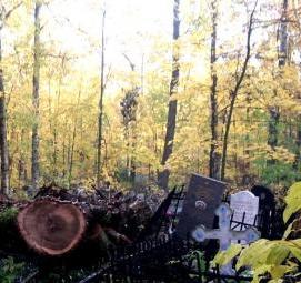спил деревьев на кладбище - тип 1