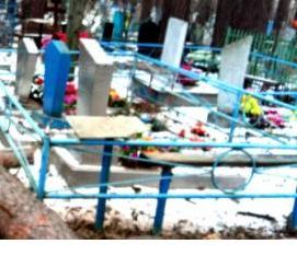 спил деревьев на кладбище - тип 2