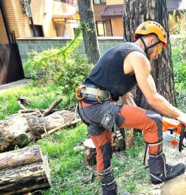 спил деревьев - тип 3