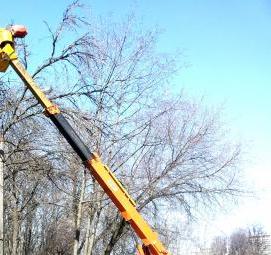 спил деревьев с автовышки - модель 4