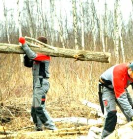 спил сложных деревьев - тип 1