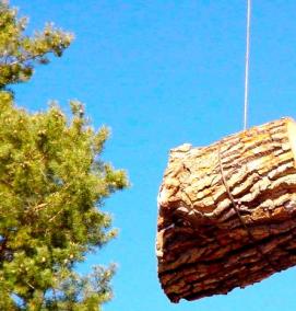 спил сложных деревьев - тип 4