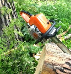 спил старых деревьев - модель 4