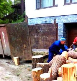 спил старых деревьев - модель 3