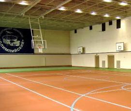 спортивное покрытие для спортзала - модель 1