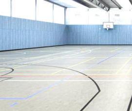 спортивное покрытие для спортзала - модель 2
