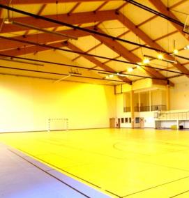 спортивные напольные покрытия - модель 4