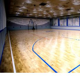 спортивный паркет - модель 4