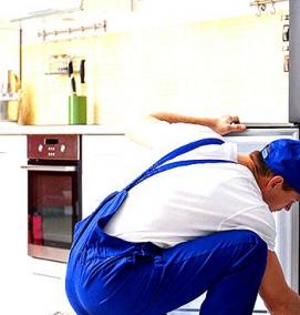 срочный ремонт холодильников - модель 3