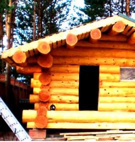 сруб бани из лиственницы - тип 3