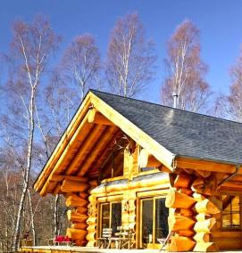 сруб дома из бревна - модель 2