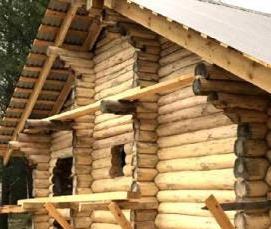 сруб из дуба - вариант 4