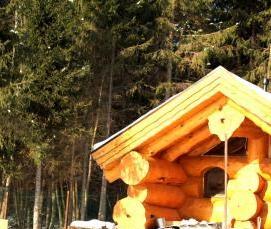 сруб из кедра большого - вариант 4