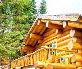 сруб из сибирского кедра - вариант 3