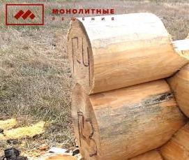 сруб из сухостойной сосны - модель 1