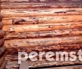 срубы 3х3 м с выносом - вариант 1