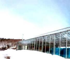 стационарная теплица - модель 2