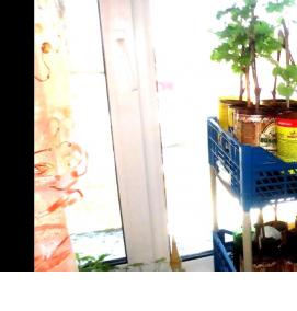 стеллаж для рассады 26х62х91 см - тип 1