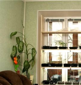 стеллаж для рассады 26х62х91 см - тип 4