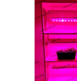 стеллаж для рассады с подсветкой - модель 1