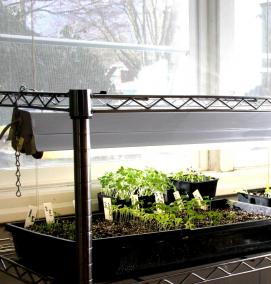 стеллаж для рассады с подсветкой - модель 4