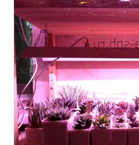 стеллаж для рассады с подсветкой - модель 3