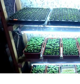 стеллаж для рассады с подсветкой - модель 2