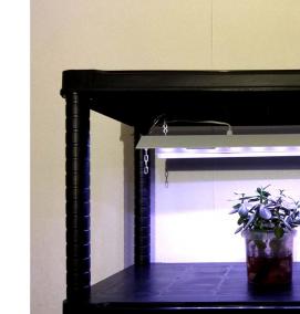 стеллаж для выращивания рассады с подсветкой - модель 3