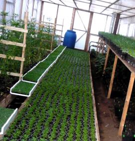 стеллаж для выращивания рассады с подсветкой - модель 2