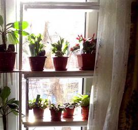 стеллаж на подоконник для рассады - вариант 4