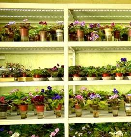 стеллажи для выращивания рассады - вариант 1