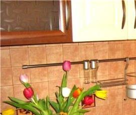 столешница 50х60 см - тип 2