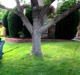 стрижка газона - модель 4