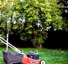 стрижка газона - модель 3