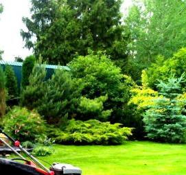 стрижка газона - модель 2