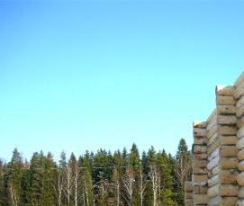 строганный сруб - тип 3