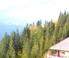 строительство дома на дачном участке - вариант 1